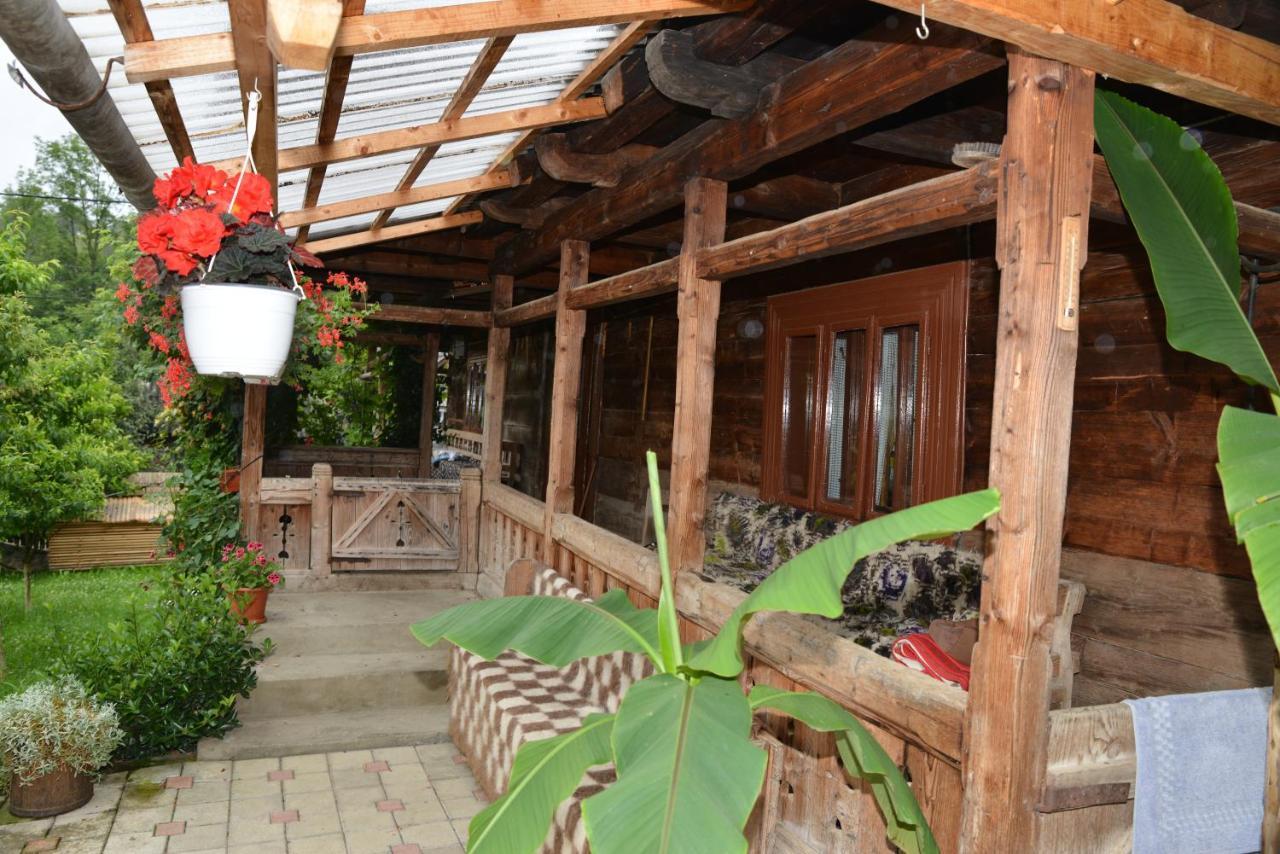 Pensiunea Armonia Văleni Extérieur photo
